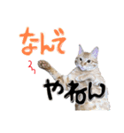9393STAMP（個別スタンプ：11）