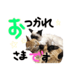 9393STAMP（個別スタンプ：12）