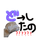 9393STAMP（個別スタンプ：13）