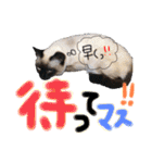 9393STAMP（個別スタンプ：14）