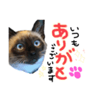 9393STAMP（個別スタンプ：17）