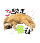 9393STAMP（個別スタンプ：18）