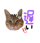 9393STAMP（個別スタンプ：19）