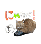 9393STAMP（個別スタンプ：20）