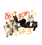 9393STAMP（個別スタンプ：22）