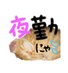 9393STAMP（個別スタンプ：24）