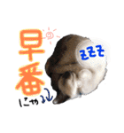 9393STAMP（個別スタンプ：25）