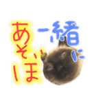 9393STAMP（個別スタンプ：28）