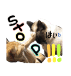 9393STAMP（個別スタンプ：29）