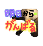 9393STAMP（個別スタンプ：30）
