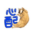 9393STAMP（個別スタンプ：35）