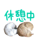 9393STAMP（個別スタンプ：36）