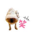 愛犬のハナちゃん❤︎（個別スタンプ：22）