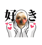 愛犬のハナちゃん❤︎（個別スタンプ：39）