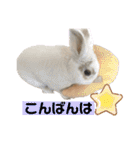 うさぎーず☆2（個別スタンプ：4）