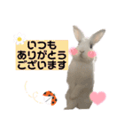 うさぎーず☆2（個別スタンプ：18）