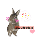 うさぎーず☆2（個別スタンプ：24）