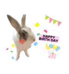 うさぎーず☆2（個別スタンプ：25）