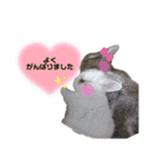 うさぎーず☆2（個別スタンプ：26）