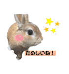 うさぎーず☆2（個別スタンプ：30）
