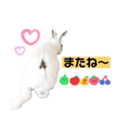 うさぎーず☆2（個別スタンプ：33）