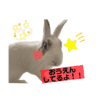 うさぎーず☆2（個別スタンプ：35）
