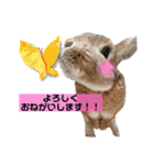 うさぎーず☆2（個別スタンプ：37）