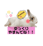 うさぎーず☆2（個別スタンプ：38）