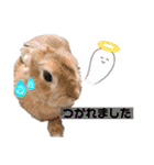 うさぎーず☆2（個別スタンプ：39）