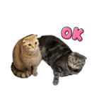 ふたりのねこすたんぷ2（個別スタンプ：5）