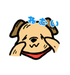 兄犬さんの顔（個別スタンプ：6）