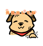 兄犬さんの顔（個別スタンプ：11）