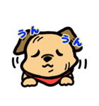 兄犬さんの顔（個別スタンプ：16）