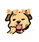 兄犬さんの顔（個別スタンプ：21）