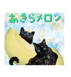 飛び出す黒猫ハルとロビン[ダジャレ3]（個別スタンプ：8）