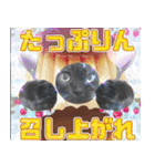 飛び出す黒猫ハルとロビン[ダジャレ3]（個別スタンプ：16）