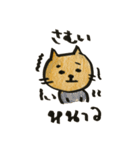 中地製菓のねこちゃん（個別スタンプ：13）