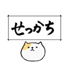 筆で伝える性格*ねこ（個別スタンプ：22）