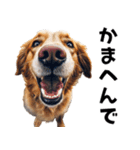 THE DOG（関西弁）（個別スタンプ：2）