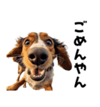 THE DOG（関西弁）（個別スタンプ：6）