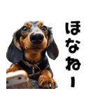 THE DOG（関西弁）（個別スタンプ：7）