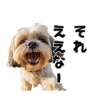 THE DOG（関西弁）（個別スタンプ：8）