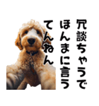 THE DOG（関西弁）（個別スタンプ：10）