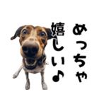 THE DOG（関西弁）（個別スタンプ：20）