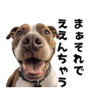 THE DOG（関西弁）（個別スタンプ：21）