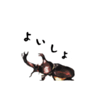 技法の定まらない動物絵スタンプ（個別スタンプ：6）