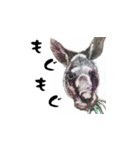 技法の定まらない動物絵スタンプ（個別スタンプ：9）