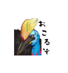 技法の定まらない動物絵スタンプ（個別スタンプ：12）