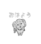 黒プーのレイ2（個別スタンプ：12）