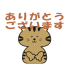 キジトラcatのスタンプ（個別スタンプ：3）